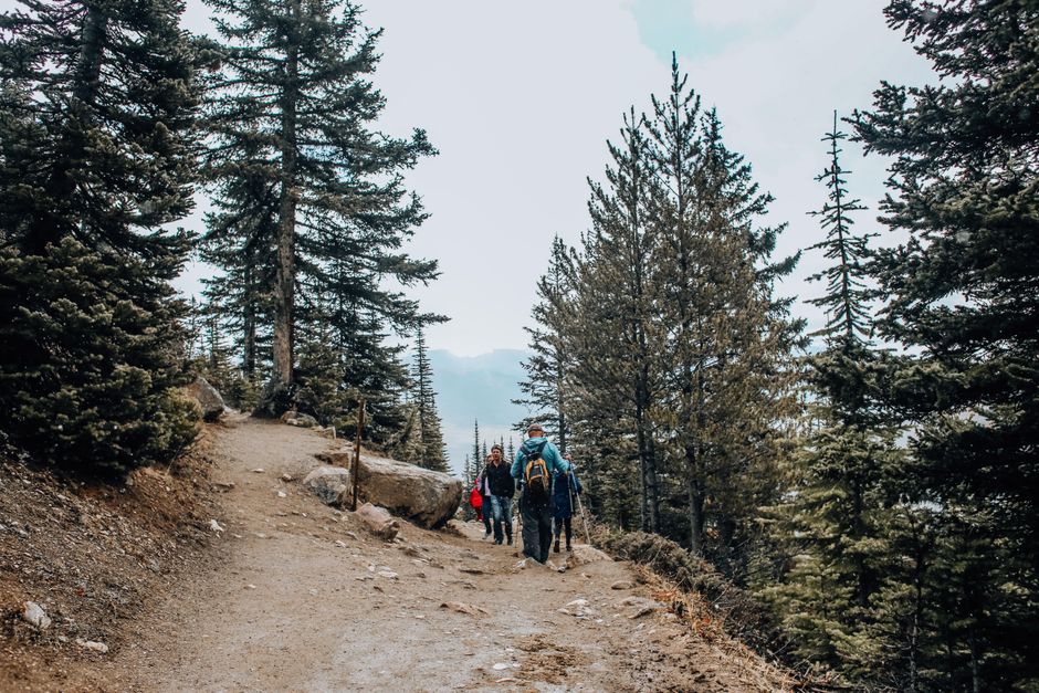 Mount Olympus Greece pine forest trail rocky path summer hikers