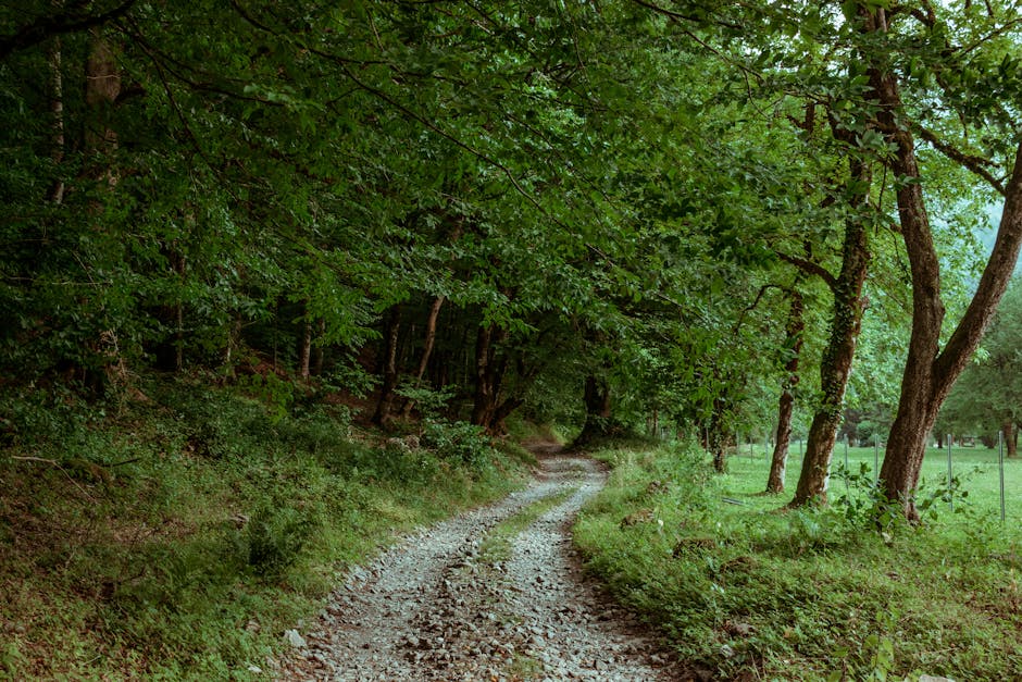 Mount Olympus Greece Litochoro approach road Prionia Trailhead
